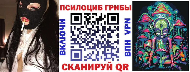 MEGA зеркало  Назрань  Псилоцибиновые грибы Psilocybine cubensis  что такое  