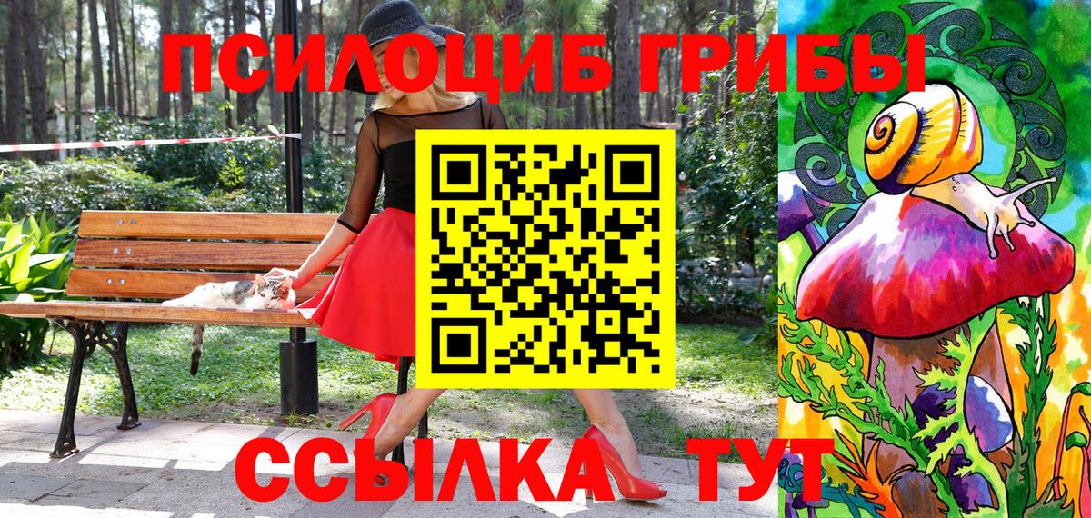 Галлюциногенные грибы мухоморы  Псилоцибиновые грибы прущие грибы  Вход с VPN  Назрань 