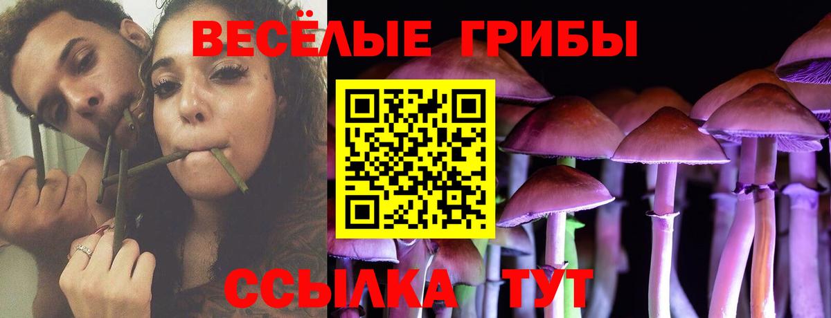 Псилоцибиновые грибы мухоморы  Псилоцибиновые грибы мицелий  Назрань 